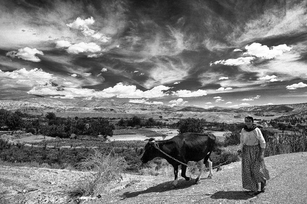 Voyage-2010915-Maroc-Route-AitBenHaddou-Tinfou-347-Modifier.jpg